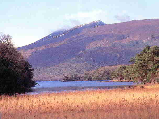 Killarney National Park